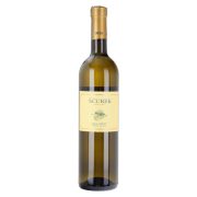 Slika produkta VINO BELI PINOT, ŠČUREK, 0,75L