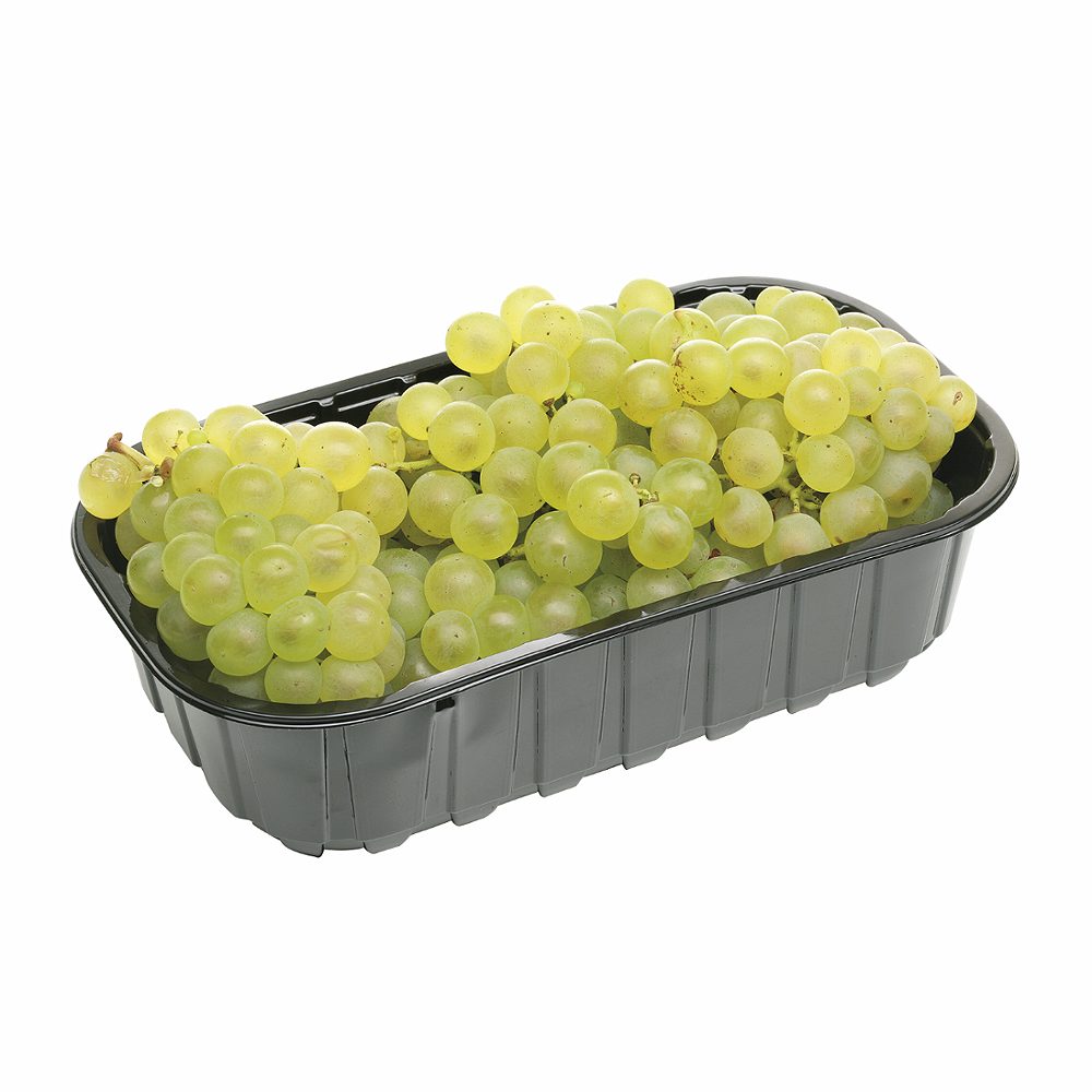 slovensko belo grozdje