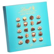 PRALINE MINI LINDT 100G