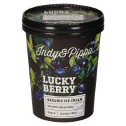 Slika produkta BIO SLADOLED BOROVNICA LUCKY BERRY, INDY&PIPPA, 450ML