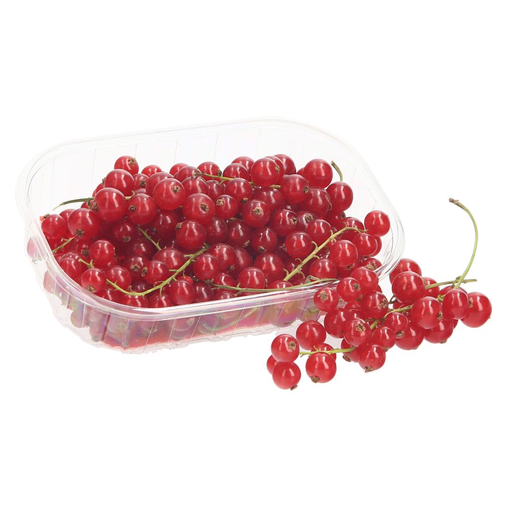 RIBEZ RDEČI PAK.125G