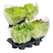 Slika produkta SOLATA KRISTALKA RDEČA ŽIVA, PAN ORGANIC, 1/1