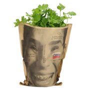 Slika produkta PETERŠILJ ŽIVA, 1/1, SLOVENIJA