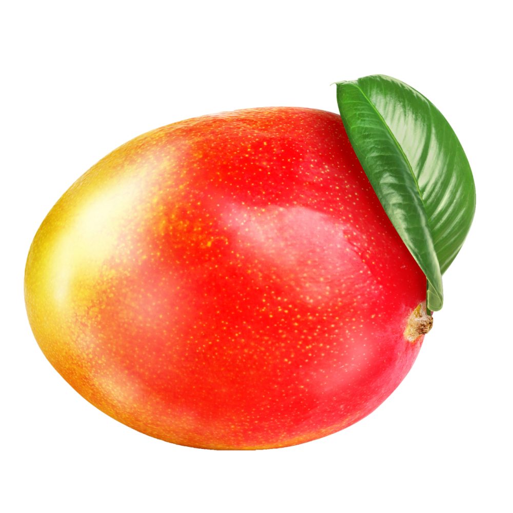MANGO, TEHTANO