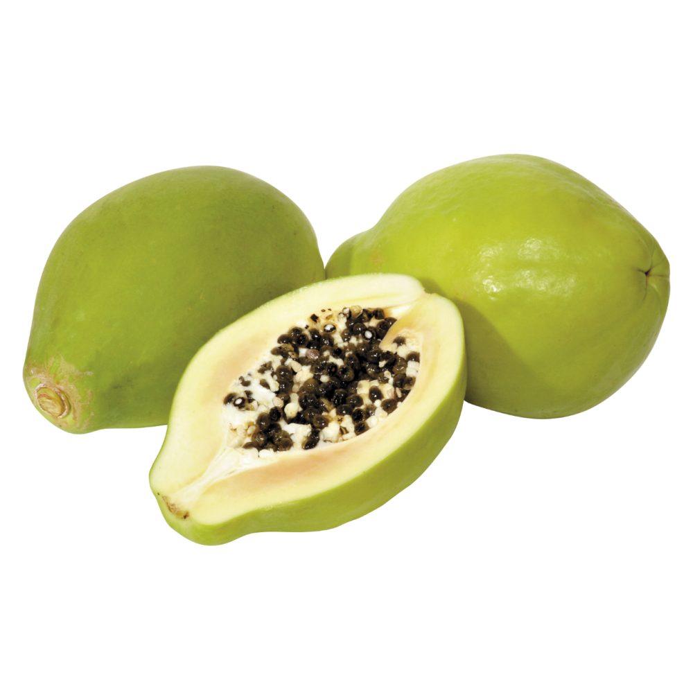 PAPAJA, TEHTANO