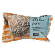 Slika produkta BIO KROGLICE, KOKOS IN INDIJSKI OREŠČKI, VEGANZ, 42 G