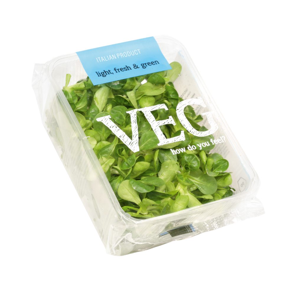 motovilec veg