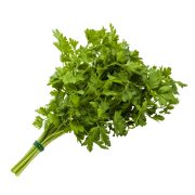 Slika produkta PETERŠILJ, 100G