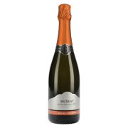 Slika produkta SREBRNA RADGONSKA PENINA MUŠKAT, RADGONSKE GORICE, 0,75L