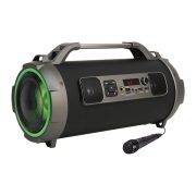 Slika produkta KARAOKE ZVOČNIK PULSE 2 XP8809