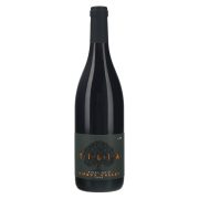 Slika produkta RDEČE VINO MODRI PINOT, TILIA, 0,75L