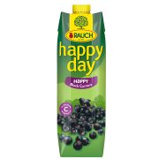 Slika produkta NEKTAR ČRNI RIBEZ HAPPY DAY FAMILY, RAUCH, 1L