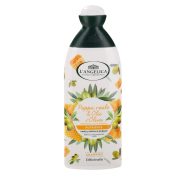 Slika produkta ŠAMPON ZA POŠKODOVANE LASE, L´ANGELICA, 250ML