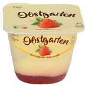 Slika produkta SKUTA VANILIJA IN JAGODE, OBSTGARTEN, DANONE, 175G