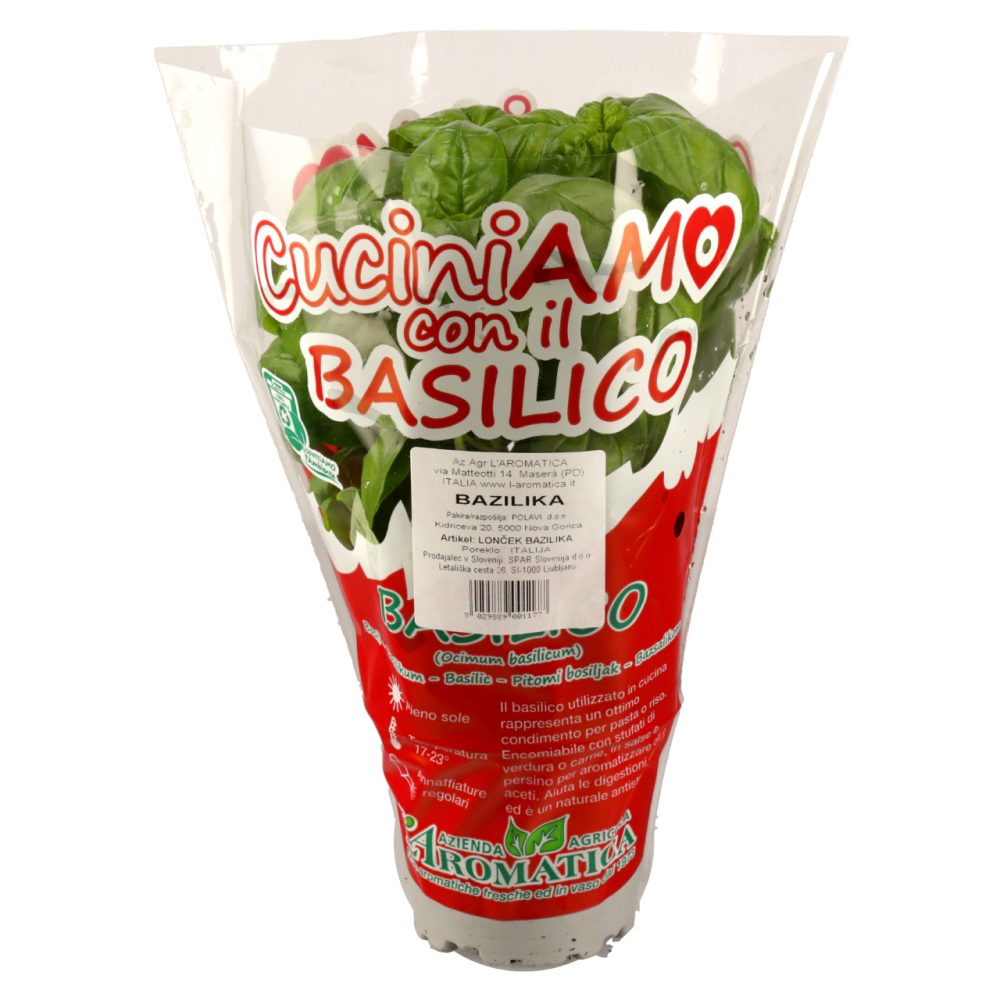 BAZILIKA V LONČKU XL, 1/1