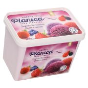 Slika produkta SLADOLED JAGODA, BOROVNICA IN GOZDNI SADEŽI, PLANICA GOZDNA, 2L