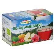 Slika produkta BIO ČAJ GOZDNI SADEŽI, SPAR NATUR*PUR, 25/1, 65G