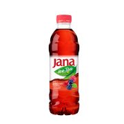 Slika produkta LEDENI ČAJ GOZDNI SADEŽI IN BRUSNICA, JANA, 0,5L