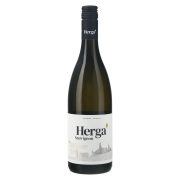 Slika produkta BELO VINO SAUVIGNON BLANC, HERGA, 0,75L