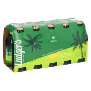 Slika produkta MEŠANA PIJAČA S PIVOM PANACHE, LUDGER´S, 10X0,25L