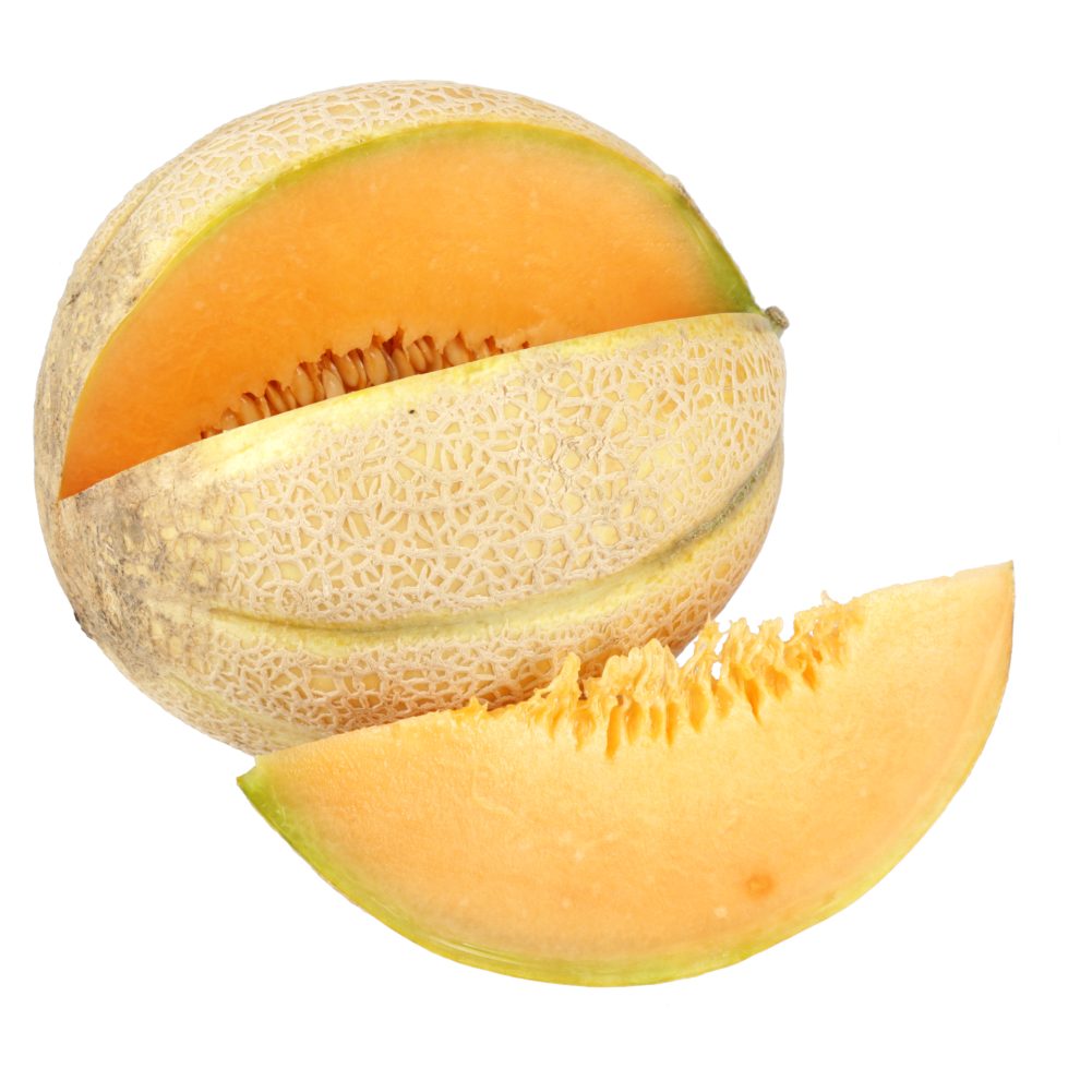 MELONE, TEHTANO